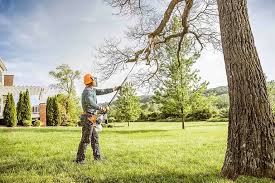 Trusted Erin, TN Tree Care  Experts